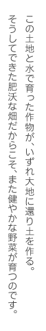 この土地と水で育った作物が、いずれ大地に還り土を作る。そうしてできた肥沃な畑だからこそ、また健やかな野菜が育つのです。